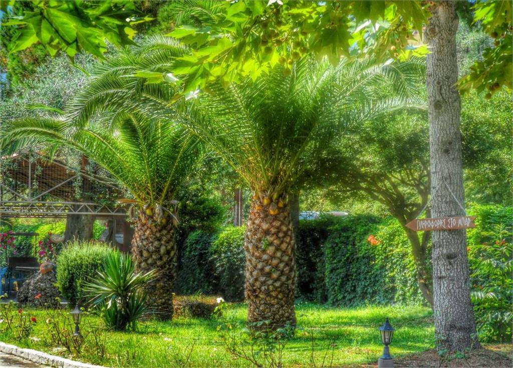 Aparthotel Aneton Chrisi Ammoudia Exterior foto