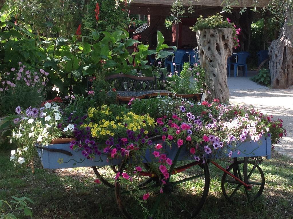 Aparthotel Aneton Chrisi Ammoudia Exterior foto