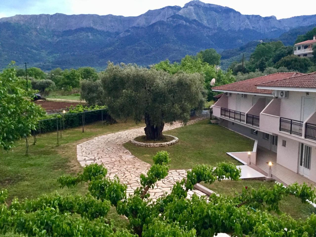 Aparthotel Aneton Chrisi Ammoudia Exterior foto